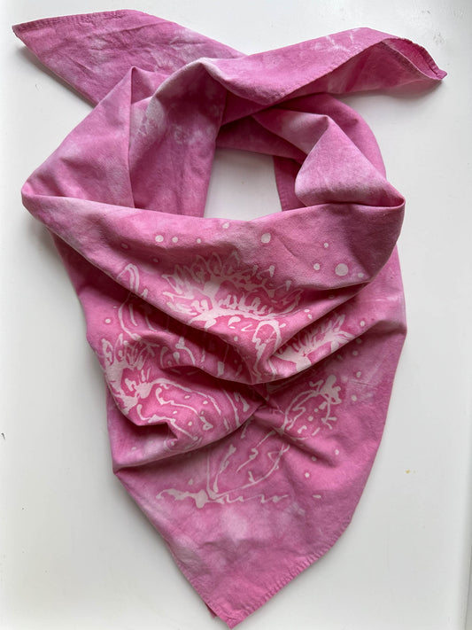 hand dyed bandana, cochineal dye bandana, pink bandana, natural dye bandana, desert bandana, cactus bandana, batik bandana, eco friendly bandana, prickly pear bandana, handmade bandana, Tucson inspired bandana, sustainable fashion, botanical dye textile, natural dye accessory, hand crafted bandana, Arizona bandana, slow fashion accessory, desert pink fabric, artisanal bandana, dyed with bugs, plant based dye, insect dye textile, cactus design, nature inspired fashion, hand dyed cotton, desert sunset bandana
