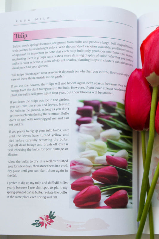 Seeds of Possibility - Paperback Book (8.5 x 11in) + digital download